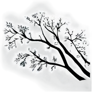 Tree Branches Silhouette Png 06282024 PNG image