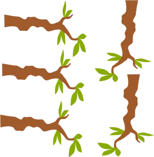Tree Branches Sprouting Leaves Illustration PNG image