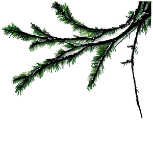 Tree Branches Sunset PNG 37