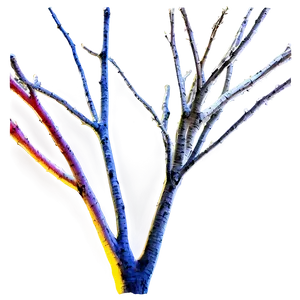 Tree Branches Sunset PNG Mif