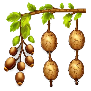 Tree Branches With Acorns PNG Xco64 PNG