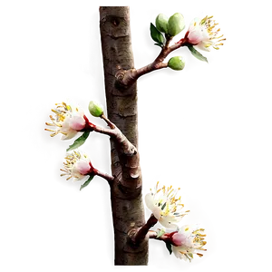Tree Branches With Buds PNG 20 PNG