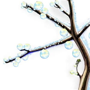 Tree Branches With Dew PNG Nuy9 PNG