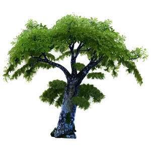 Tree Branches With Moss PNG 06282024
