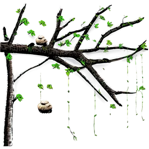 Tree Branches With Nests PNG 06282024 PNG