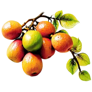 Tree Branches With Ripe Fruit PNG Mwt PNG