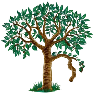 Tree Drawing Png 06122024 PNG image