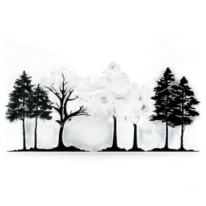 Tree Line Contrast PNG Mbu8 PNG