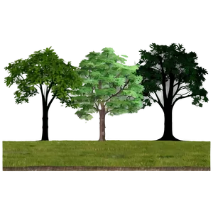 Tree Line Horizon Graphic Png Fyq92 PNG image