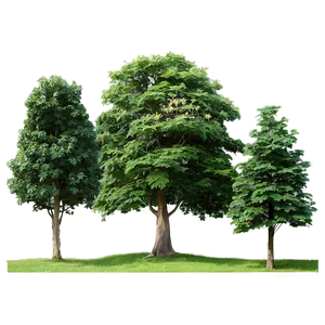 Tree Line Landscape Art PNG 94 PNG