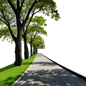 Tree Line Pathway PNG Hef PNG