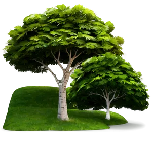 Tree Line Pathway PNG Kxj91 PNG