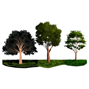 Tree Line Profile PNG 24