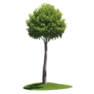 Tree Line Shadow PNG Bxc