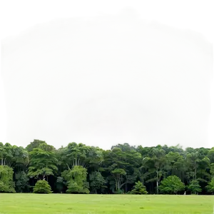 Tree Line Vista PNG Qpw28 PNG