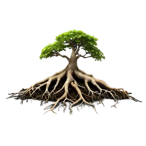 Tree Roots C PNG image