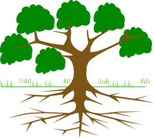Tree Roots System Illustration PNG image