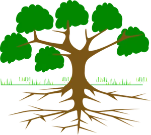 Tree Roots Vector Illustration
