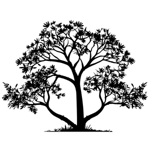 Tree Silhouette Skyline PNG 06292024 PNG