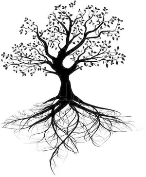 Tree Silhouettewith Visible Roots PNG image