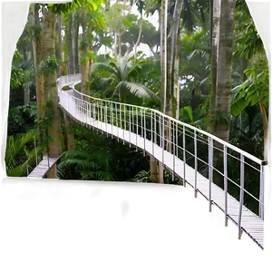 Tree Top Canopy Walkway View PNG 87