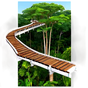 Tree Top Canopy Walkway View PNG Rqh