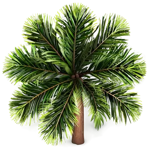Tree Top View Clipart PNG 06122024