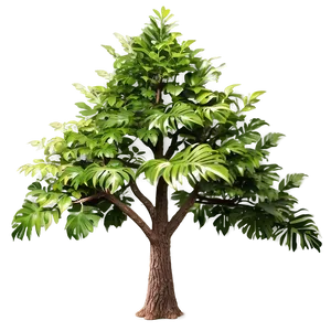 Tree Top View Clipart PNG Kdx88