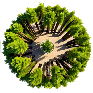 Tree Top View For Architecture PNG 06122024