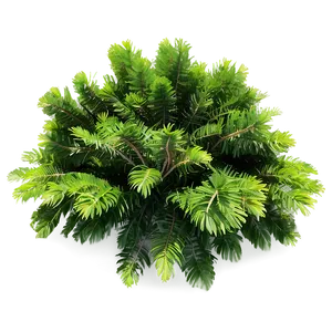 Tree Top View For Architecture PNG Lcp