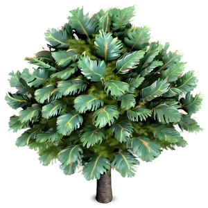 Tree Top View For Garden Plans PNG Jri