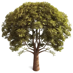 Tree Top View For Garden Plans PNG Yyk74 PNG