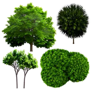 Tree Top View For Landscape Design Png Ncf PNG image