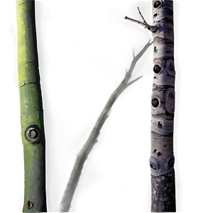Tree Trunk Background PNG Qhc