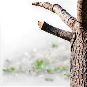Tree Trunk Clipart PNG 6