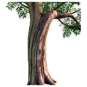 Tree Trunk Detail PNG Slj76