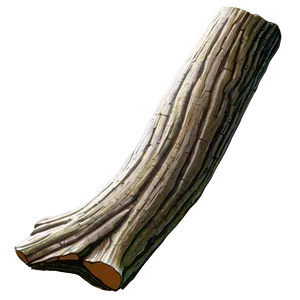Tree Trunk Drawing PNG 72
