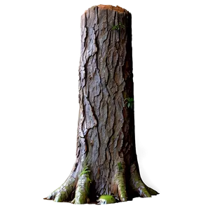 Tree Trunk In Rain PNG Emv PNG