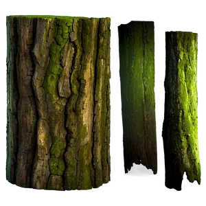 Tree Trunk Isolated PNG Yup