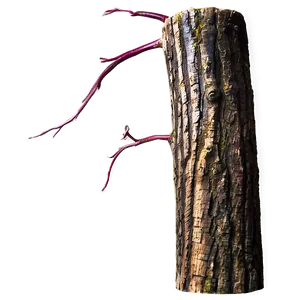 Tree Trunk PNG Gdc6