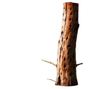 Tree Trunk Silhouette PNG 54