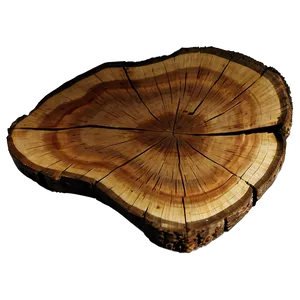 Tree Trunk Slice PNG Rkd4