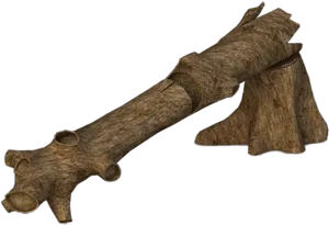 Tree Trunk Texture3 D Render