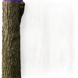 Tree Trunk With Branches PNG 26