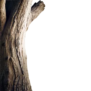 Tree Trunk With Branches PNG Wrc12