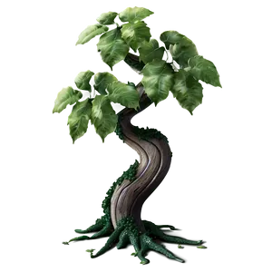 Tree Trunk With Ivy PNG Mnr90 PNG