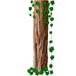 Tree Trunk With Ivy PNG Vgu22 PNG