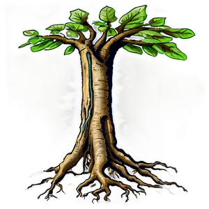Tree Trunk With Roots PNG Flm72