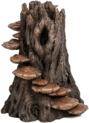 Tree Trunkwith Fungus Growth PNG image