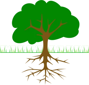 Tree_with_ Exposed_ Roots_ Vector PNG image